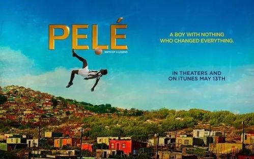 国产看片基地,揭秘看片基地的精彩世界